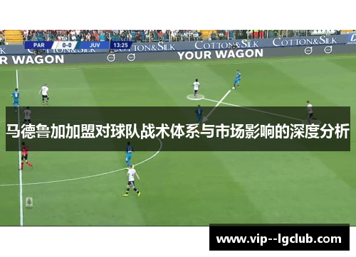 马德鲁加加盟对球队战术体系与市场影响的深度分析