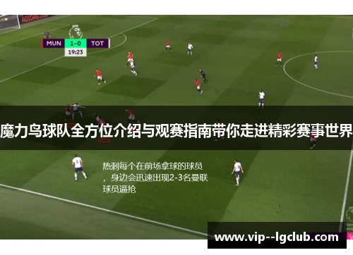 魔力鸟球队全方位介绍与观赛指南带你走进精彩赛事世界