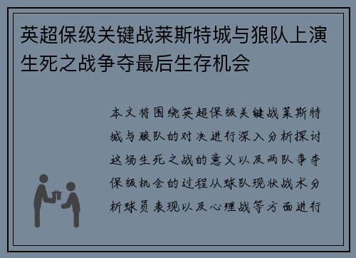 英超保级关键战莱斯特城与狼队上演生死之战争夺最后生存机会
