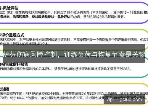 萨芬伤病风险控制，训练负荷与恢复节奏是关键
